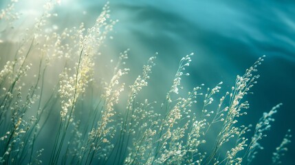 The delicate dance of seagrass swaying with the gentle movements of the ocean currents.