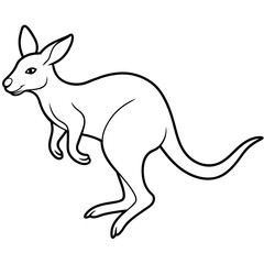Isolated Realistic Kangaroo Jumping Illustration