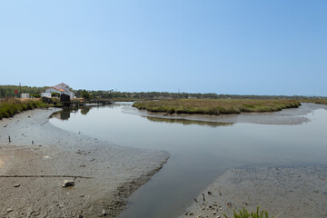 view of the river sado estuary in Comporta, Alentejo Portugal