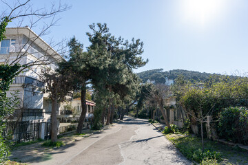 A quiet street with a house on the left and a house on the right