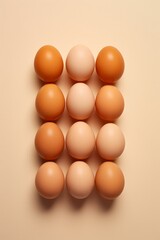 Variety of Brown and White Chicken Eggs in Symmetrical Arrangement on Beige Background. Minimalistic easter concept. Top view