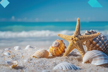 Fototapeta na wymiar Starfish and seashells on seashore - beach holiday background. 