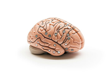 Conceptual Image of a Brain with Integrated Circuitry on White Background