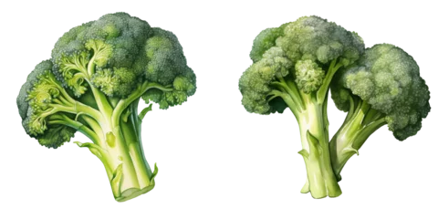 Fotobehang set of two fresh cauliflower heads clipart watercolor illustration on transparent background, vegetable green veggies © Deea Journey 