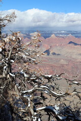 Grand Canyon, Arizona