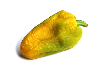 Wrinkled ripening and at the same time drying sweet pepper lies on a white background.	