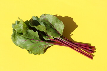 Green fresh beet leaves lie on a yellow background.	