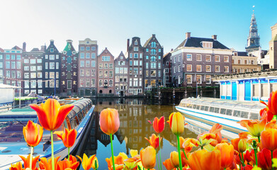 Amsterdam canal Damrak with typical dutch houses and moored boats at spring day with flowers,...
