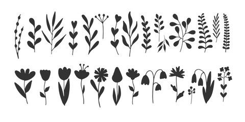 Collection of hand drawn plants. Black silhouette of Flowers and Branches isolated on white. Floral seasonal illustration. Botanical abstract set of wild flower for design