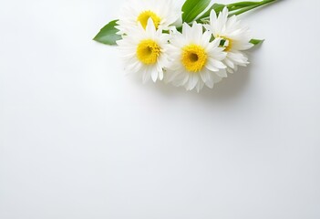 Fototapeta premium minimallist, white, background, spring flower. Generative AI. 