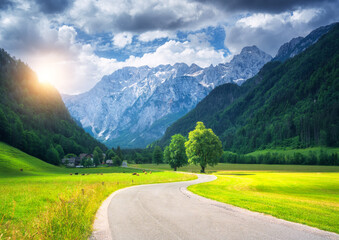 Fototapeta na wymiar Alone trees and road in alpine mountains, green meadows at sunset in summer. View of country road. Colorful landscape with road, rocks, field, grass, blue sky, sunlight, clouds. Logar valley, Slovenia