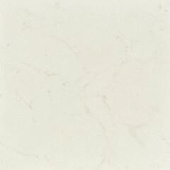Ivory White with Grey Veins Quartz