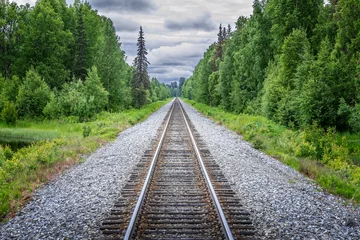 Papier Peint photo autocollant Denali Railroad, railtrack  to Denali National Park, Alaska with impressive mountains.