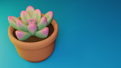 Succulent in a pot