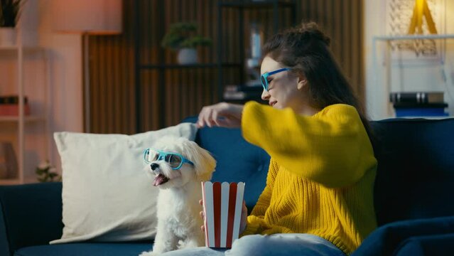 Funny girl and her dog wearing 3D glasses, eating popcorn and watching a movie