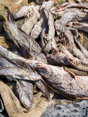 restes de poissons séchés et salés pour la consommation sur le port d pêche traditionnel de Saint Louis du Sénégal en Afrique de l'Ouest.
