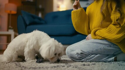 A child training fluffy dog at home, giving treats to pet for good behavior