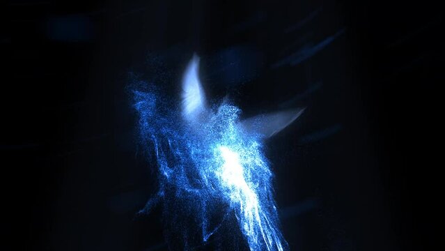 Fire Phoenix Flame Animation. Logo Intro Animation Flame. Phoenix Blue Flame Logo