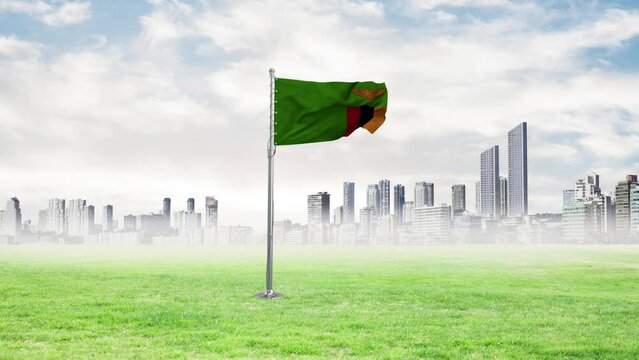 Zambia flag flying with Birds.