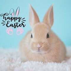  happy easter Instagram Post 