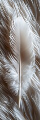 Soft Feather Decoration: Delicate and Ornate Feather Texture Generative AI