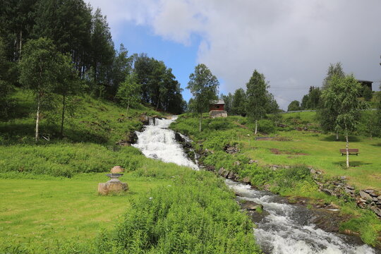 Tolga foss
