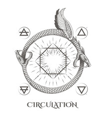 Two Ouroboros Snakes Eat Their Tails Esoteric Circulation Concept