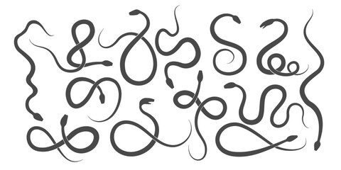 Snake Silhouette Set Isolated on White Background