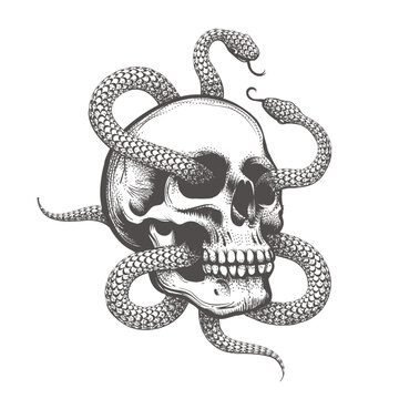Human Skull with Two Snakes Monochrome Tattoo Illustration