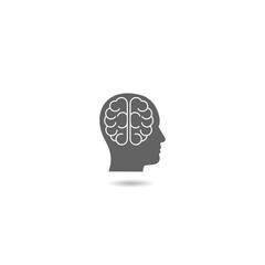  Human brain icon with shadow