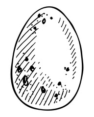 Raw chicken egg in shell sketch. Farm product. Hand drawn vector illustration.