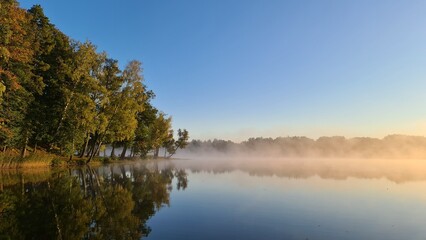 Spring trees reflected in water