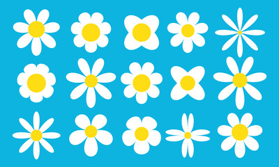 Obraz premium White Daisy chamomile flower icons set, Chamomile big set. Cute round flower plant collection. Flat spring floral elements, Blossom flowers with white petals.