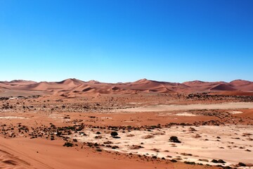 Ein endloses Wüstenmeer voller roter Sanddünen in der heißen Nachmittagssonne inmitten der namibischen Wüste.