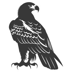 Fototapeta premium Silhouette eagle animal black color only full body
