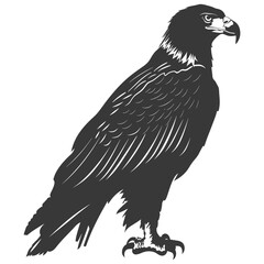 Fototapeta premium Silhouette eagle animal black color only full body