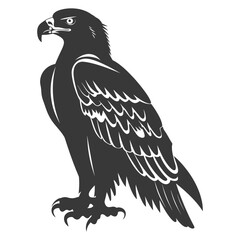 Silhouette eagle animal black color only full body