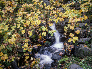 waterfall in autumn