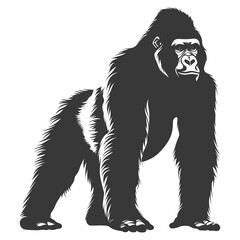 Fototapeta na wymiar Silhouette gorilla animal black color only full body