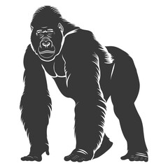 Fototapeta premium Silhouette gorilla animal black color only full body