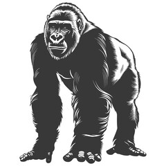 Silhouette gorilla animal black color only full body