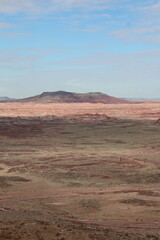Petrified Forest National Park