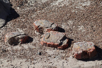 Petrified Forest National Park, Arizona
