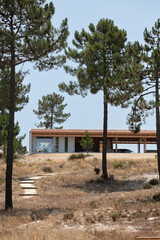 Fototapeta na wymiar Beautiful modern new building in the middle of the pine forest