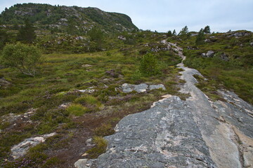 Hiking trail to the summit of Bremsneshatten in Norway, Europe
