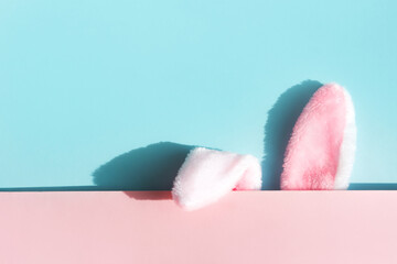 Fluffy bunny ears on a pastel background. Easter concept. Top view, space for text.