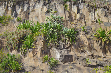 Funchal, Madeira, Portugese island in the Atlantic Ocean and popular nature landscape scenery...