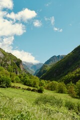 Summertime valley. Highland France, Pyrenees mountain range. Vintage travelling background