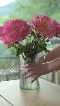 Bouquet of peonies. A woman puts large pink peonies in a vase with soda in a bright living room on the table. High quality footage