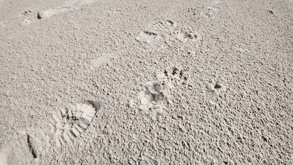 Traces de pas homme chien dans le sable